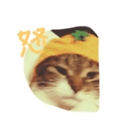 I♡菅原菜々子5（個別スタンプ：13）