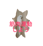 ピーちゃんのヒトコト（個別スタンプ：14）