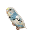 ピーちゃんのヒトコト（個別スタンプ：19）