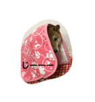 さくら 柴（個別スタンプ：7）
