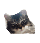 ますだ家（個別スタンプ：2）