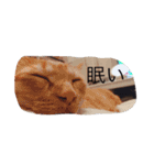 ますだ家（個別スタンプ：5）