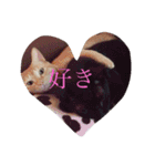 ますだ家（個別スタンプ：6）