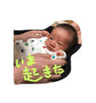 べびの日々（個別スタンプ：8）