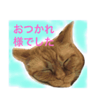 ❤︎ウチの猫たちの楽しい普段使い言葉❤︎（個別スタンプ：15）