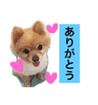 PINK！！！（個別スタンプ：2）