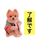 PINK！！！（個別スタンプ：3）