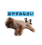 PINK！！！（個別スタンプ：5）