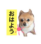 PINK！！！（個別スタンプ：6）