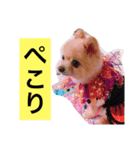 PINK！！！（個別スタンプ：7）