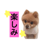 PINK！！！（個別スタンプ：8）