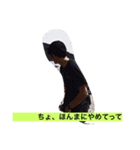 もりお〜俺はガリガリではない〜（個別スタンプ：2）