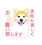 きゅんきゅん♥️秋田犬（個別スタンプ：40）