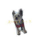 ミミ＆カイ（個別スタンプ：1）