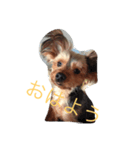 ミミ＆カイ（個別スタンプ：4）