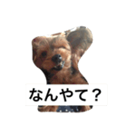 ミミ＆カイ（個別スタンプ：8）
