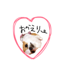愛犬プピラの日常会話（個別スタンプ：27）