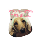 くりんとあんこ。（個別スタンプ：2）
