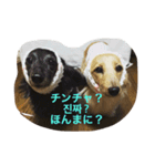 くりんとあんこ。（個別スタンプ：4）