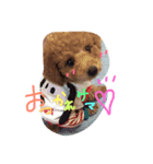 うちのまよねーずくん（個別スタンプ：4）