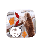 さんちゃんの休日（個別スタンプ：2）