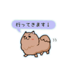 ポメラニアン、ポン太。基本セット（個別スタンプ：4）