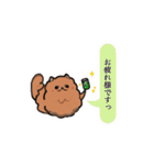 ポメラニアン、ポン太。基本セット（個別スタンプ：10）