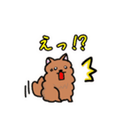 ポメラニアン、ポン太。基本セット（個別スタンプ：15）