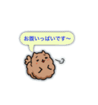 ポメラニアン、ポン太。基本セット（個別スタンプ：16）