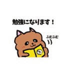ポメラニアン、ポン太。基本セット（個別スタンプ：23）