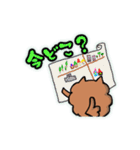 ポメラニアン、ポン太。基本セット（個別スタンプ：37）