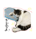 ちぃのあいさつ（個別スタンプ：13）