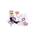bAcon＆moohAm Bullterrier（個別スタンプ：2）