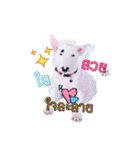 bAcon＆moohAm Bullterrier（個別スタンプ：5）