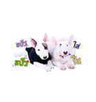 bAcon＆moohAm Bullterrier（個別スタンプ：8）