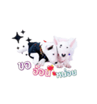 bAcon＆moohAm Bullterrier（個別スタンプ：9）