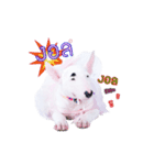 bAcon＆moohAm Bullterrier（個別スタンプ：10）