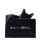 こたり2（個別スタンプ：3）
