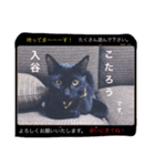 こたり2（個別スタンプ：6）