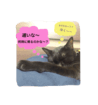 こたり2（個別スタンプ：7）
