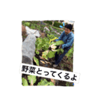 不思議なこうちゃんスタンプ（個別スタンプ：3）