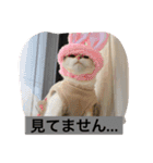 Poko chan Stanp（個別スタンプ：8）