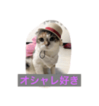Poko chan Stanp（個別スタンプ：10）