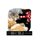 Poko chan Stanp（個別スタンプ：12）