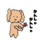 癒し犬ウタ（個別スタンプ：4）
