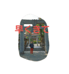 意外と使える？EDスタンプ第2弾（個別スタンプ：4）