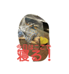 意外と使える？EDスタンプ第2弾（個別スタンプ：8）
