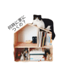 ごんたとまだら（個別スタンプ：21）