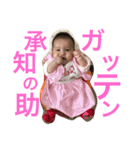 みあっちのいる生活（個別スタンプ：5）
