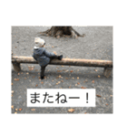 TYS_LOVE ②（個別スタンプ：14）